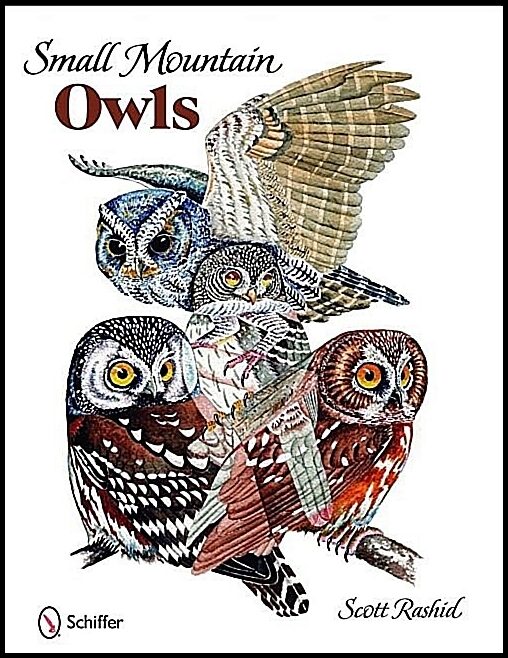 Scott Rashid | Small Mountain Owls