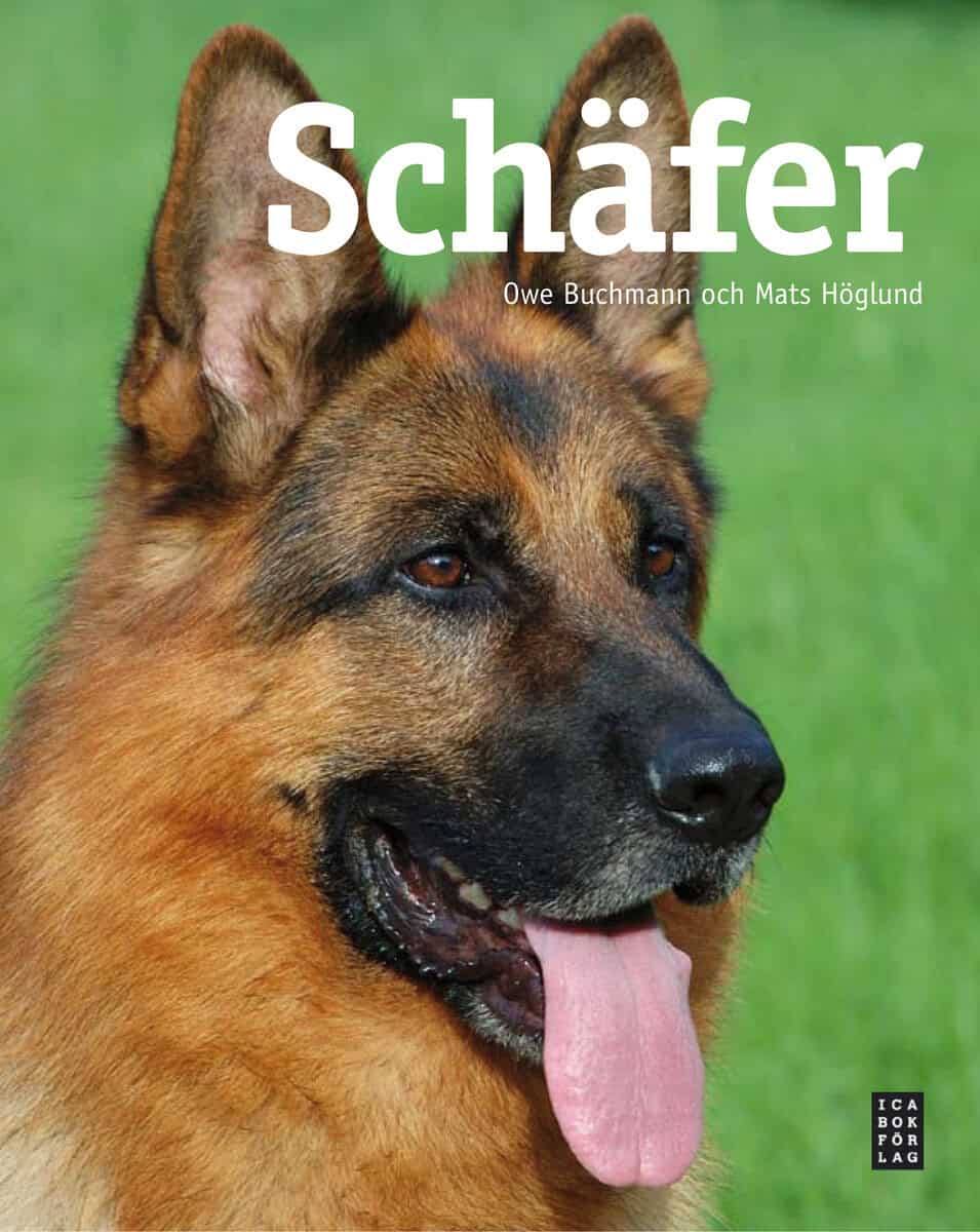 Höglund, Mats | Buchmann, Owe | Schäfer