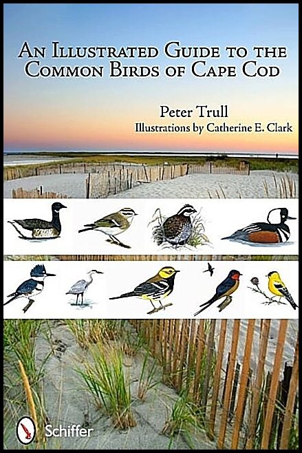 Trull, Peter | Illustrated guide to the common birds of cape cod