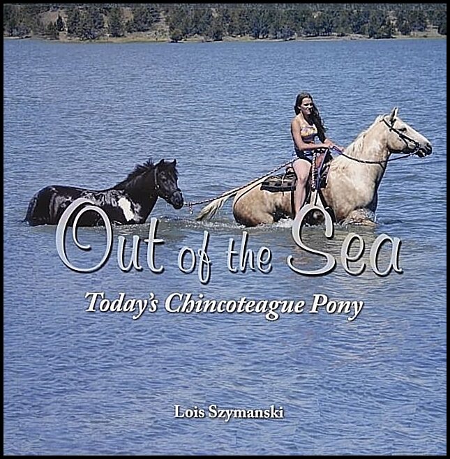 Lois Szymanski | Out Of The Sea, Today’s Chincoteague Pony