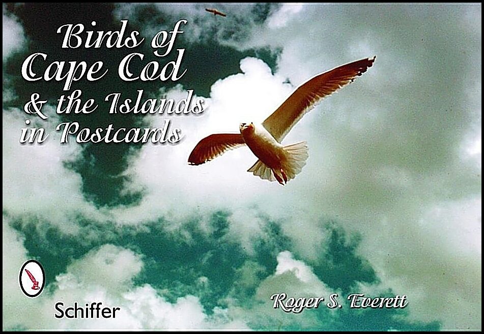 Roger S. Everett | Birds Of Cape Cod & The Islands In Postcards