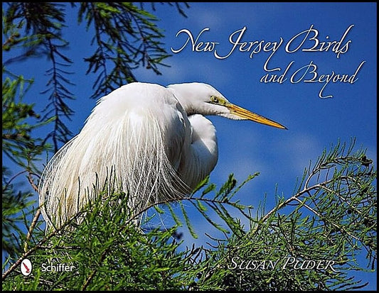 Susan Puder | New Jersey Birds And Beyond