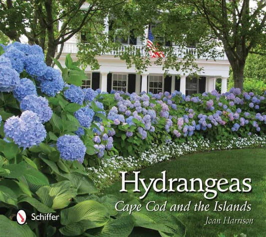 Joan Harrison | Hydrangeas : Cape Cod and the Islands