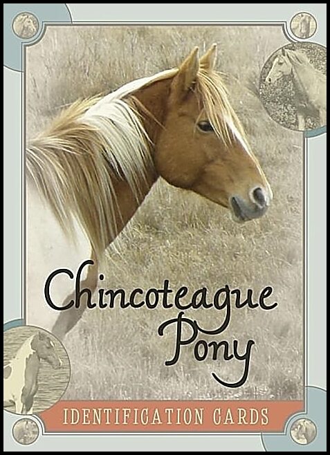 Lois Szymanski | Chincoteague Pony Identification Cards