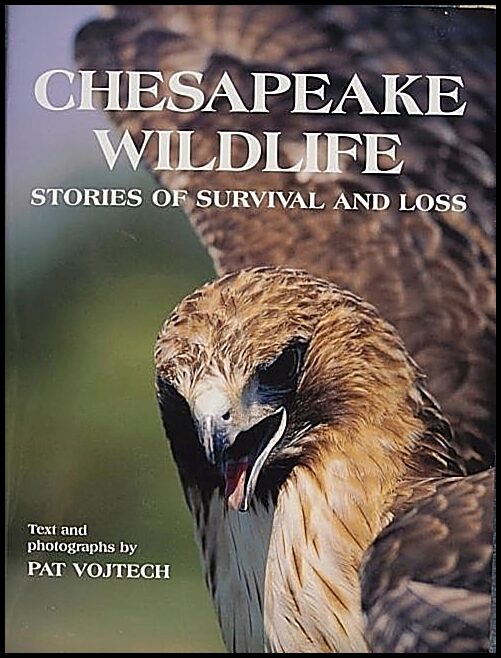 Pat Vojtech | Chesapeake Wildlife : Stories of Survival and Loss