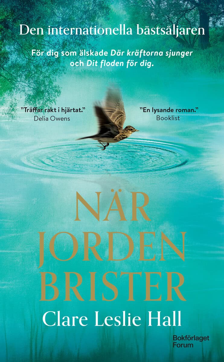 Hall, Clare Leslie | När jorden brister
