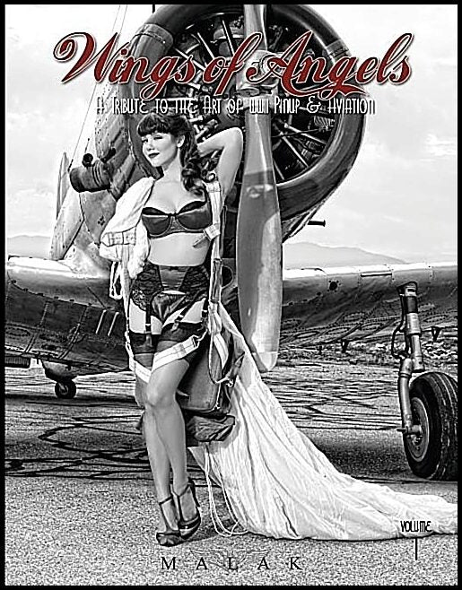 Malak, Michael | Wings of angels : A tribute to the art of world war ii pinup & aviation