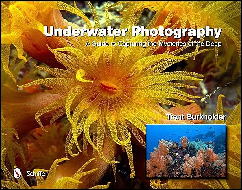 Trent Burkholder | Underwater Photography