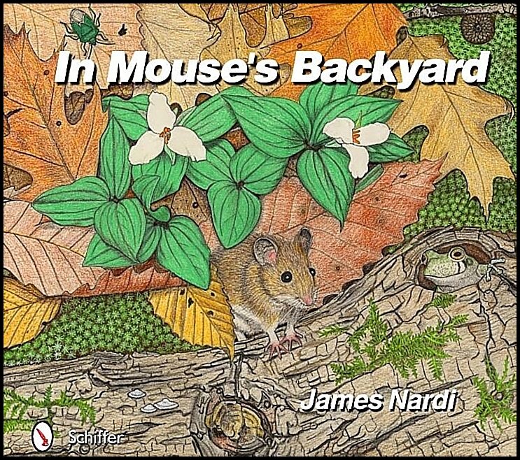 James Nardi | In Mouse's Backyard