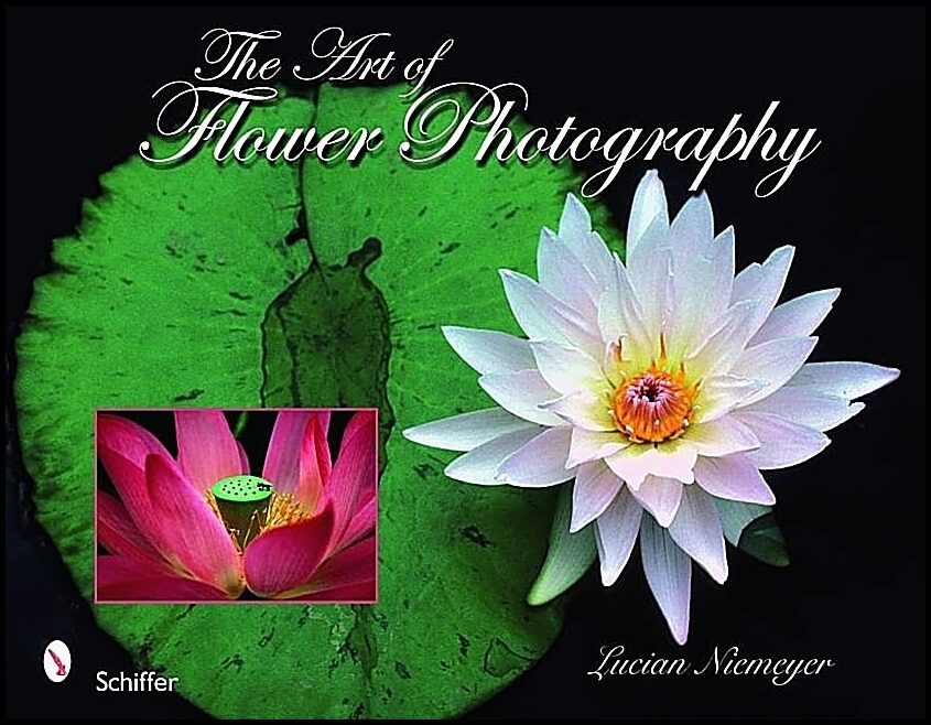 Niemeyer, Lucian | Art of flower photography