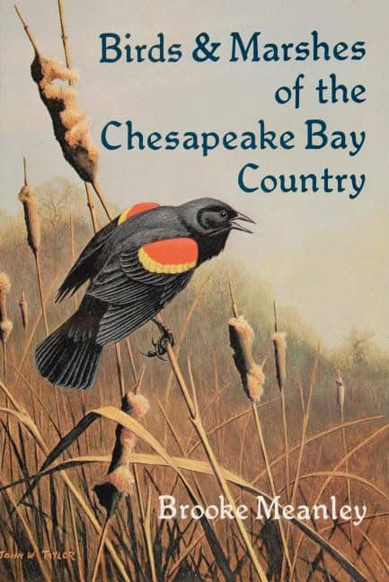 Brooke Meanley | Birds & Marshes Of The Chesapeake Bay Country