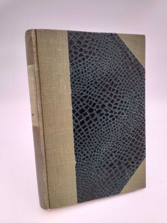 Det nya Sverige | 1925