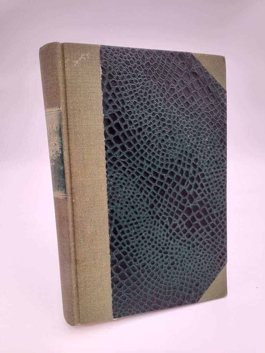 Det nya Sverige | 1918