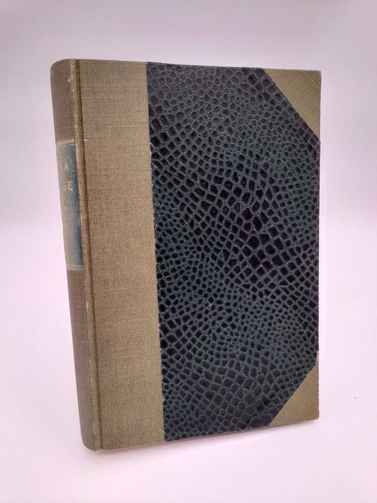 Det nya Sverige | 1924