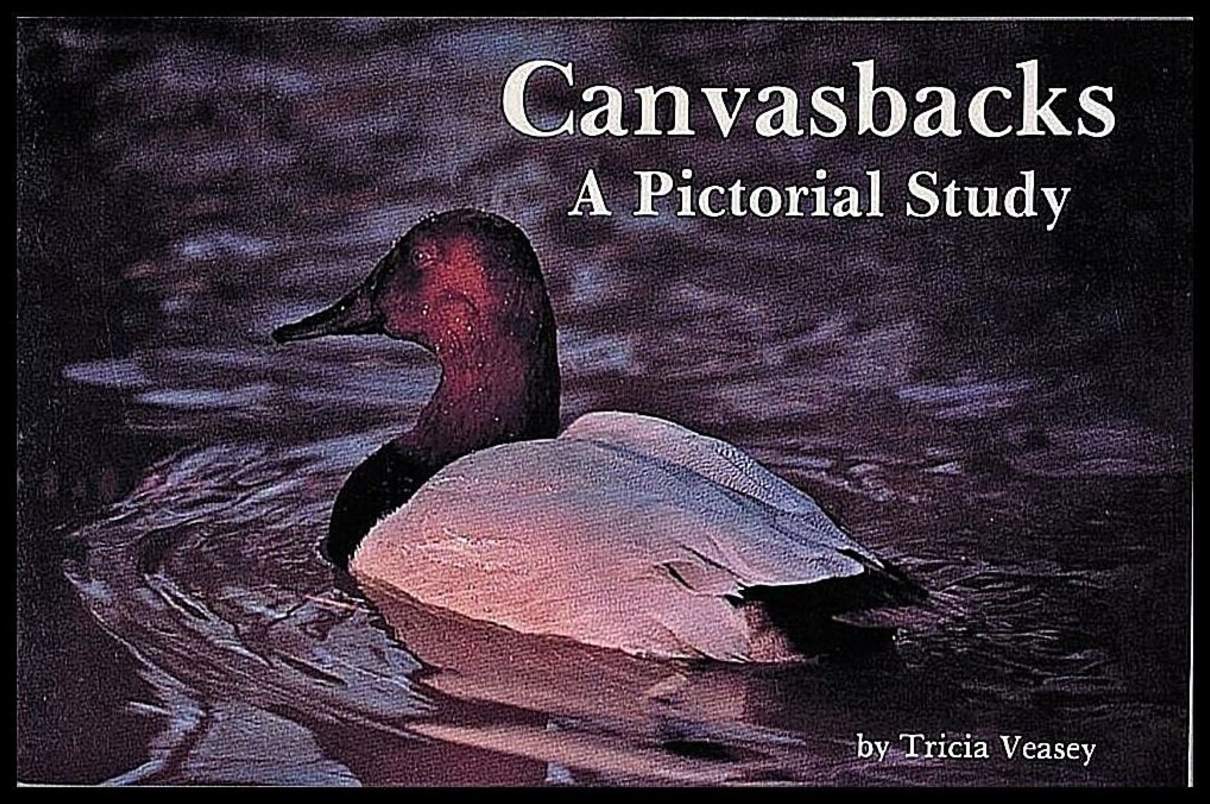 Tricia Veasey | Canvasbacks : A Pictorial Study