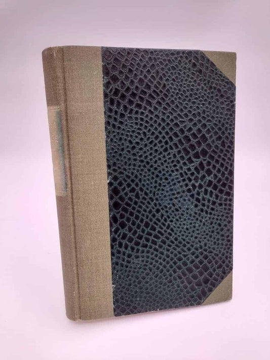 Det nya Sverige | 1922