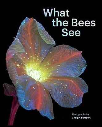 Burrows, Craig P. | What the Bees See