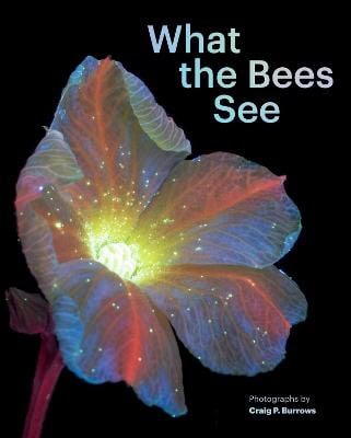 Burrows, Craig P. | What the Bees See