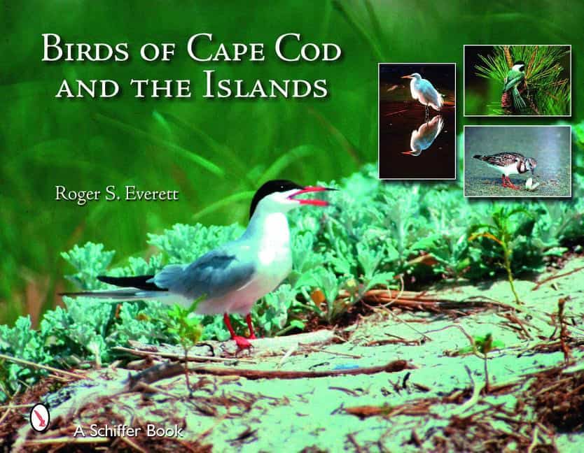 Roger S. Everett | Birds Of Cape Cod & The Islands