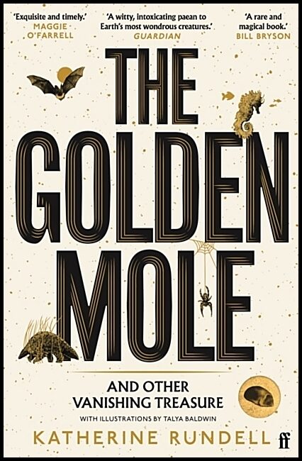 Rundell, Katherine | The Golden Mole