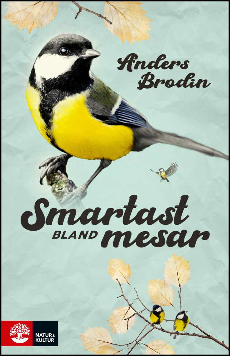 Brodin, Anders | Smartast bland mesar