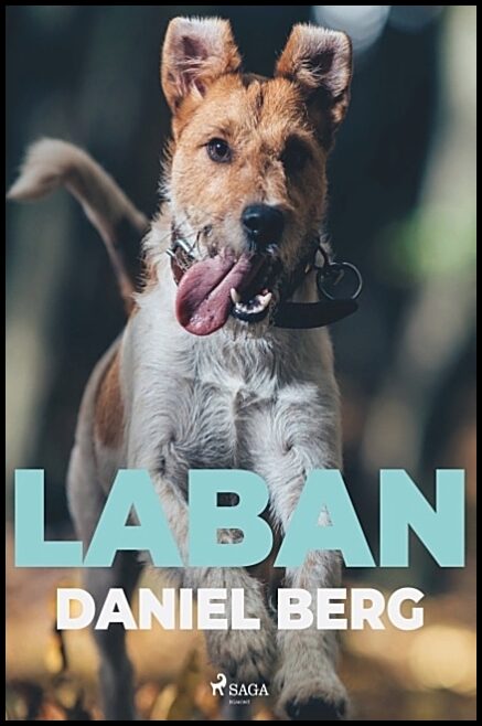 Berg, Daniel | Laban