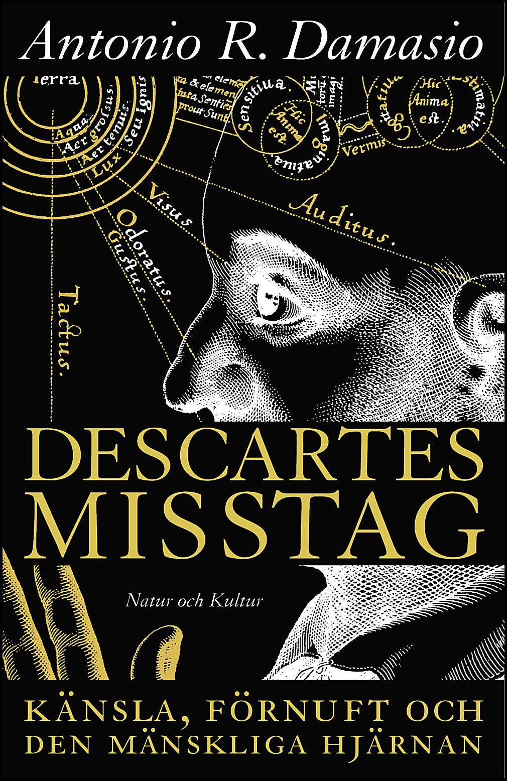 Damasio, Antonio R | Descartes misstag