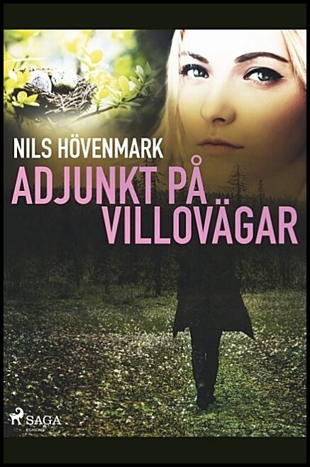 Hövenmark, Nils | Adjunkt på villovägar