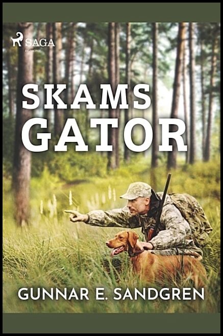 Sandgren, Gunnar E. | Skams gator