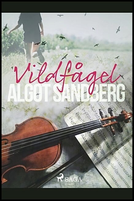 Sandberg, Algot | Vildfågel