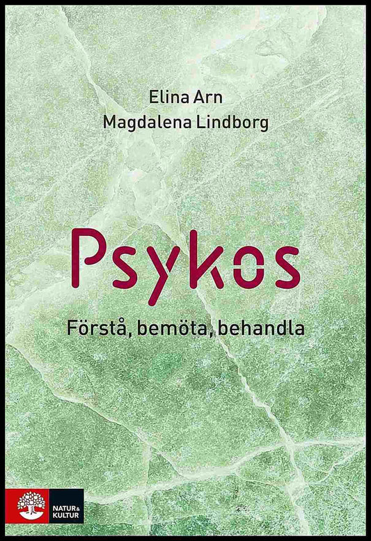 Arn, Elina | Lindborg, Magdalena | Psykos : Förstå, bemöta, behandla