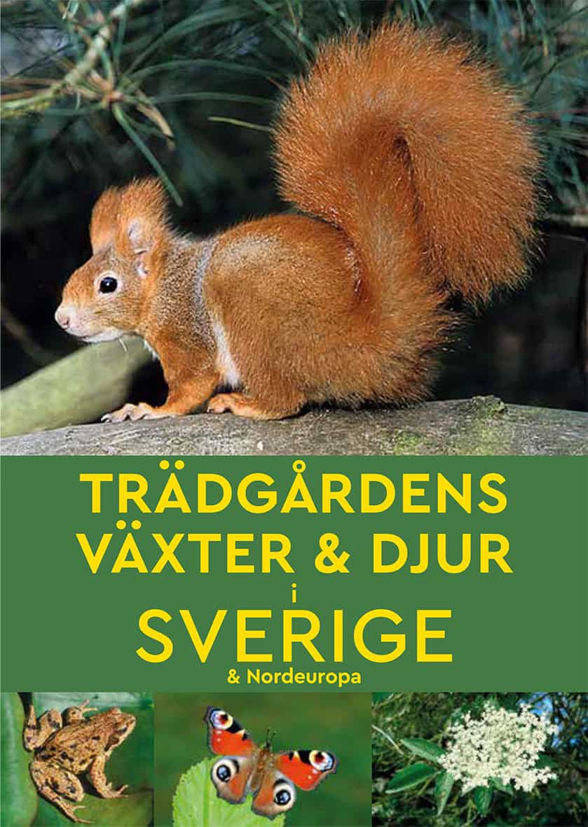 Taylor, Marianne | Trädgårdens växter & djur i Sverige & Nordeuropa