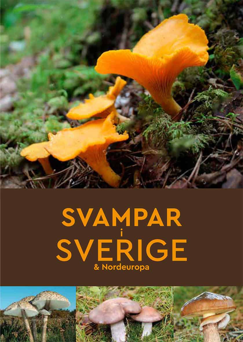 Bacon, Josephine | Svampar i Sverige & Nordeuropa