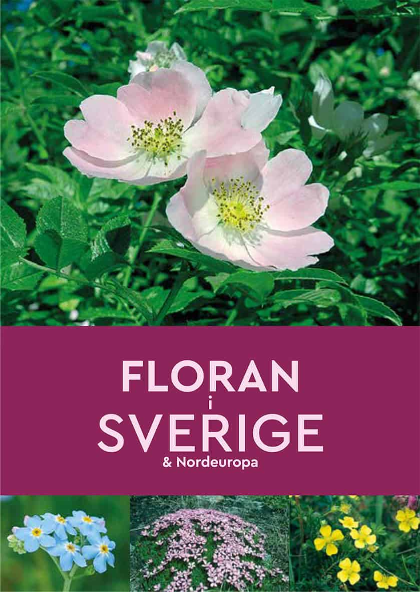 Cleave, Andrew | Floran i Sverige & Nordeuropa