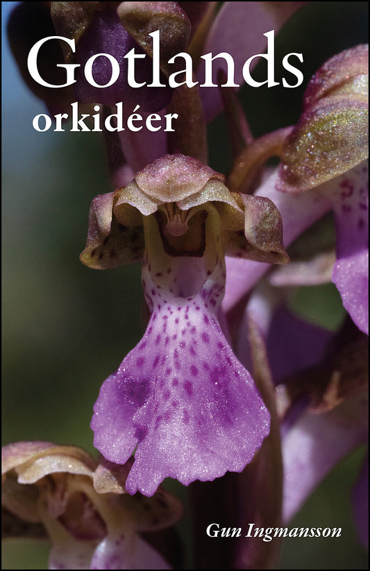 Ingmansson, Gun | Gotlands orkidéer