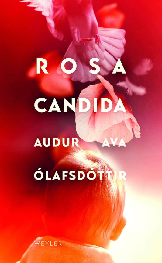 Ólafsdottir, Audur Ava | Rosa candida