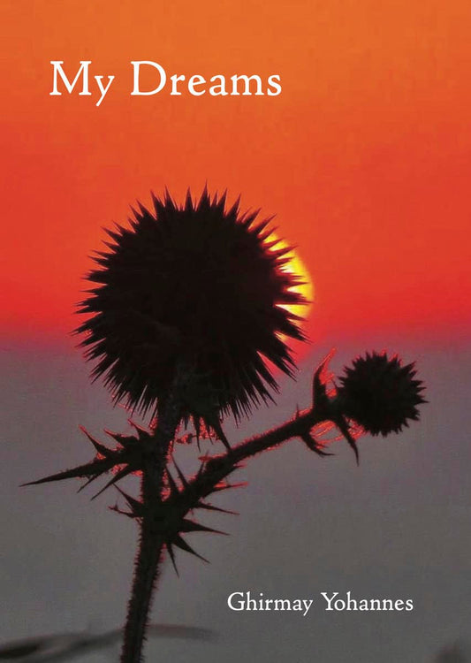 Yohannes, Ghirmay | My dreams