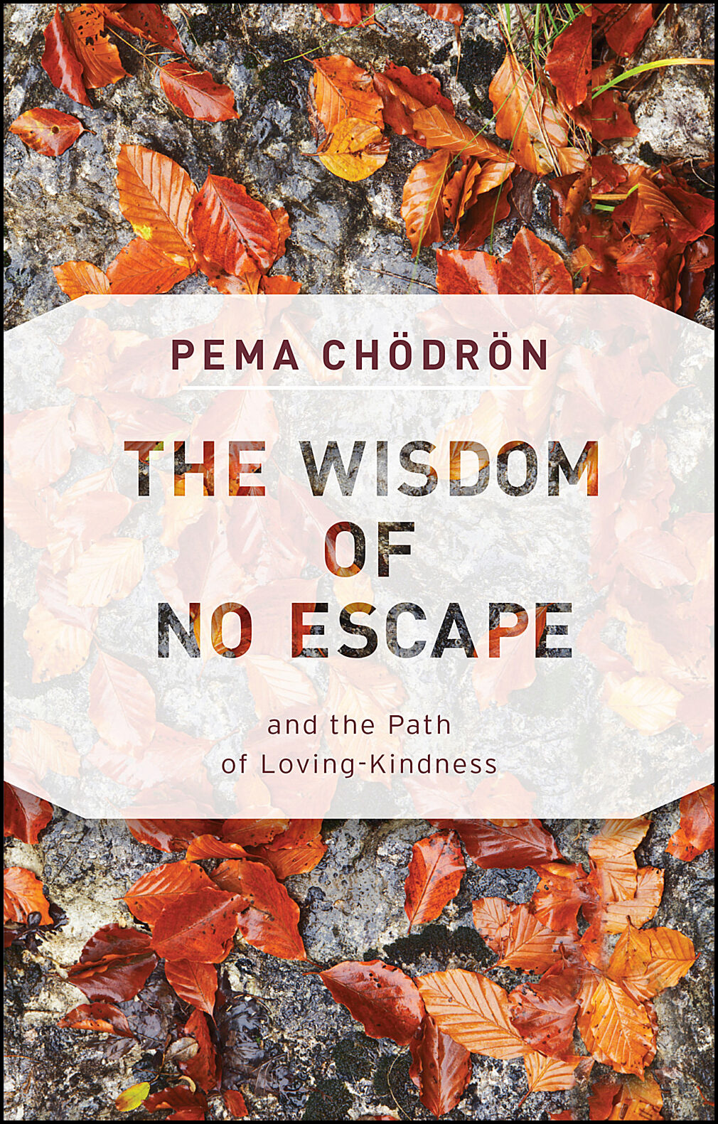 Chodron, Pema | The Wisdom of No Escape
