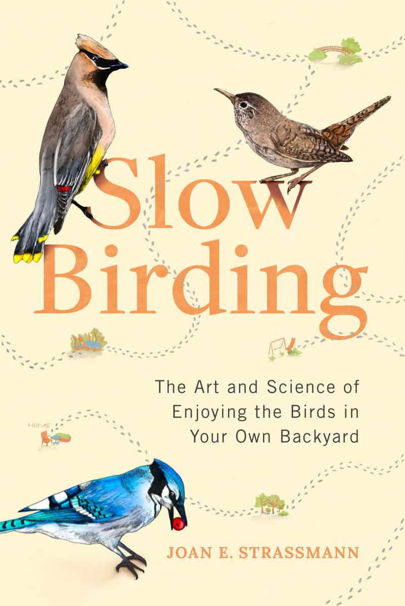 Joan E. Strassman | Slow Birding