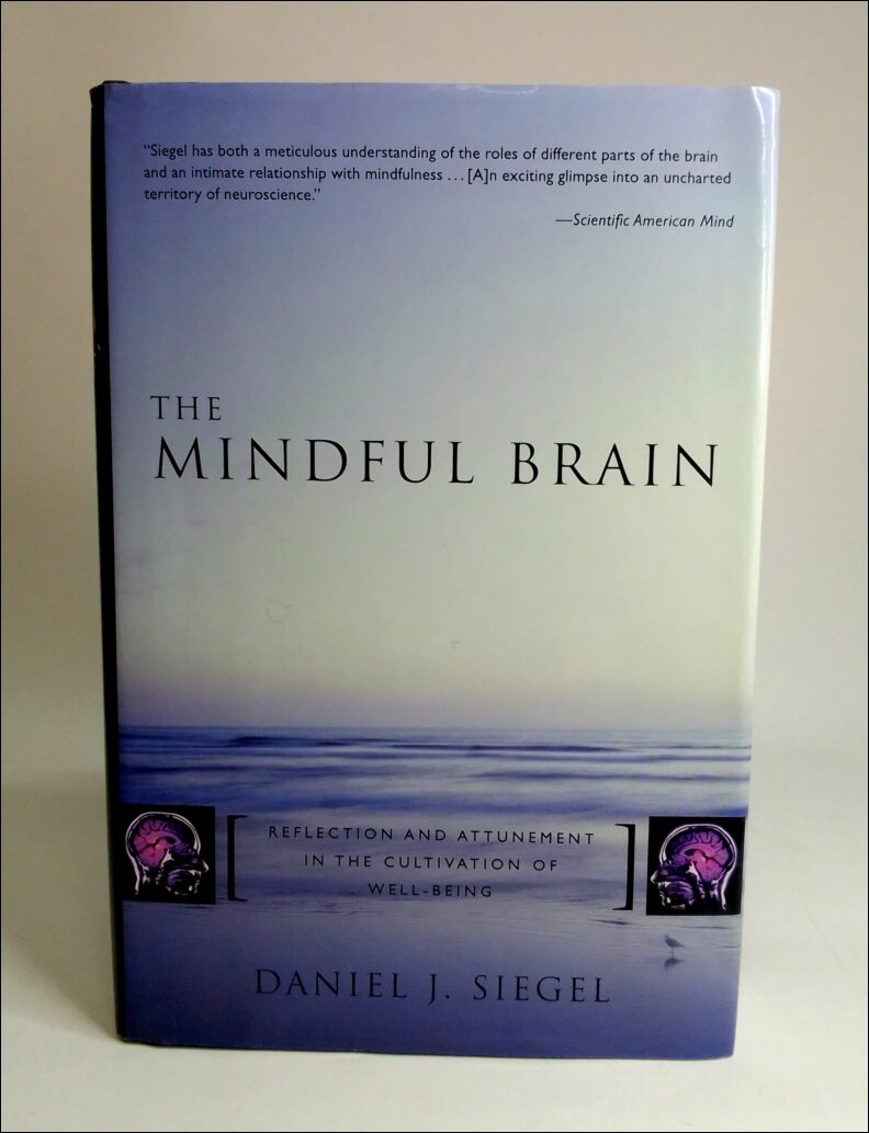 Siegel, Daniel J. | Mindful brain : Reflection and attunement in the cultivation of well-being