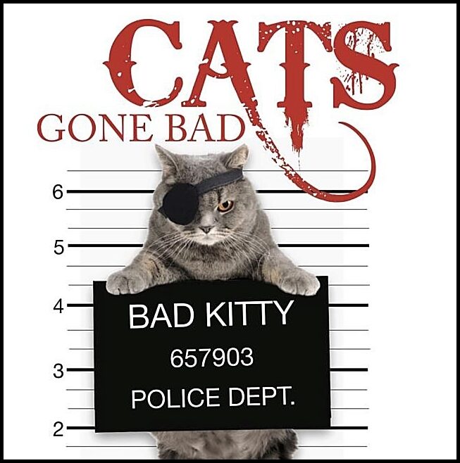 Scratching, Kat | Cats gone bad