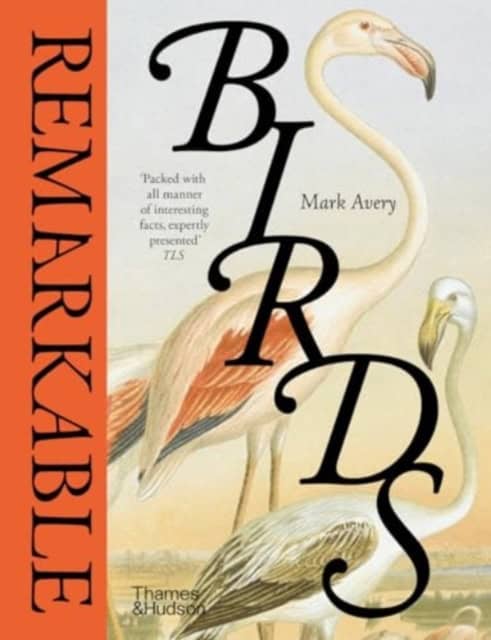 Avery, Mark | Remarkable Birds