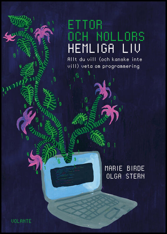 Stern, Olga | Birde, Marie | Ettor och nollors hemliga liv : Allt du vill (och kanske inte vill) veta om