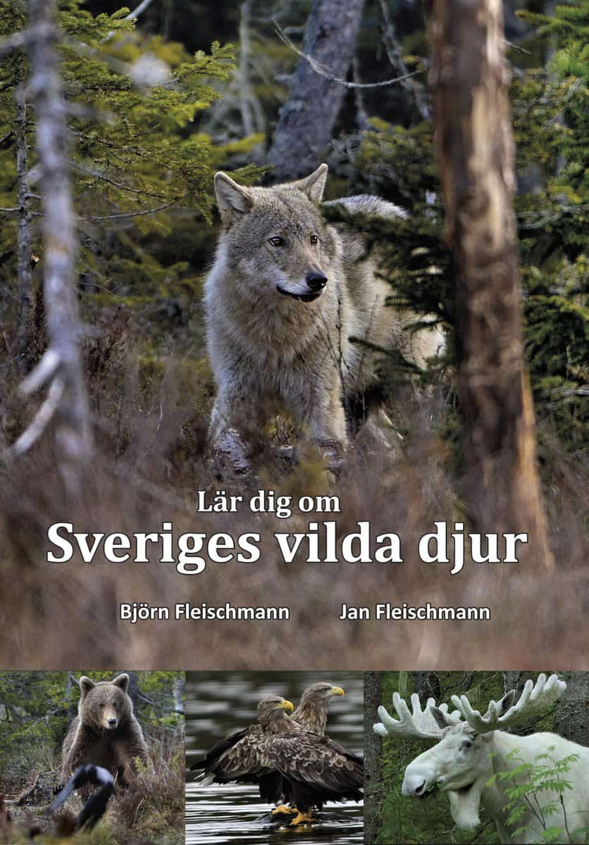 Fleischmann, Björn | Fleischmann, Jan | Lär dig om Sveriges vilda djur