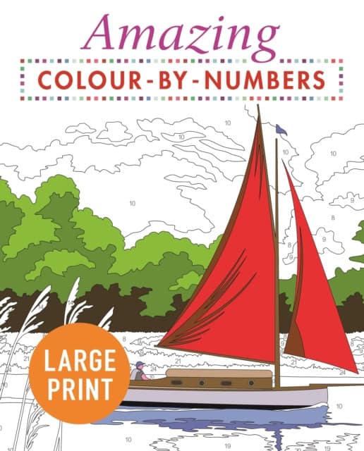 Arcturus Publishing | Amazing Colour-by-Numbers Large Print