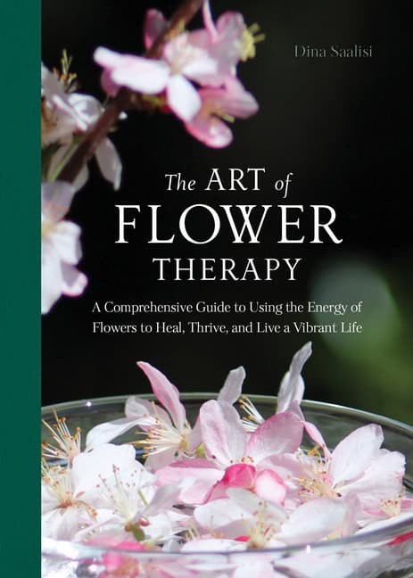 Dina Saalisi | The Art of Flower Therapy : Value, object or array expected.* Line 1, Column 2  Extra non-whitespace afte...