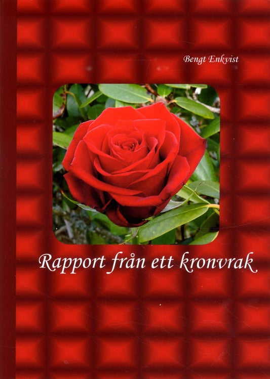 Enkvist, Bengt | Rapport från ett kronvrak