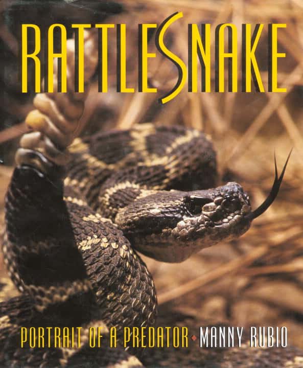 Manny Rubio | Rattlesnake