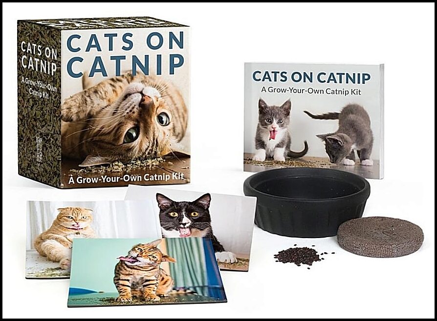 Andrew Marttila | Cats On Catnip : A Grow-Your-Own Catnip Kit