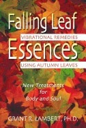 Lambert, Grant R. | Falling leaf essences : Vibrational remedies using autumn leaves